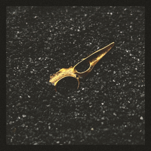 a gold bird skull mostly buried in black sand. The image is washed out and grainy.