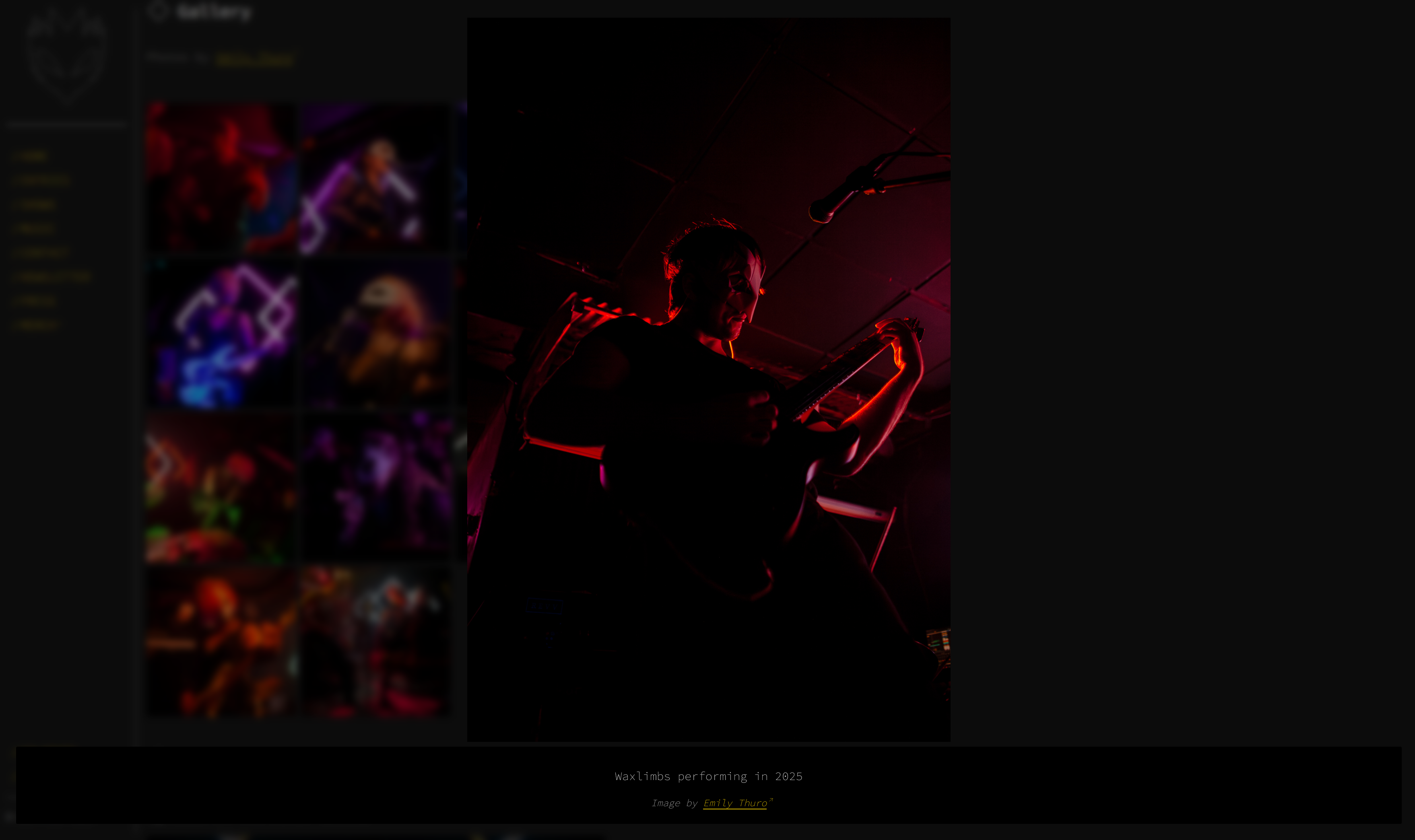 A lightbox showing one of the images from the grid, with attribution to Emily Thuro. The image shows Will playing guitar, lit from behind in red.