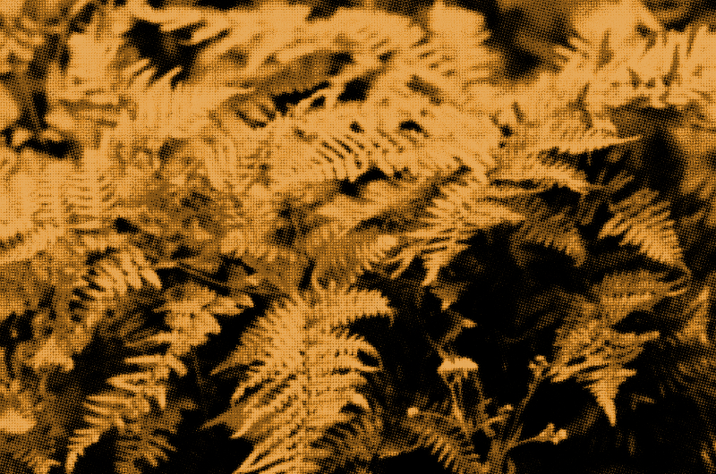 Lex Feathers's personal blog