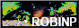 Robin Problem
